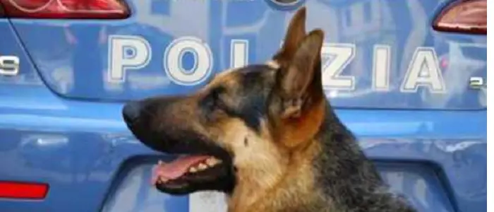 Droga nel casolare di campagna, un arresto nel Vibonese