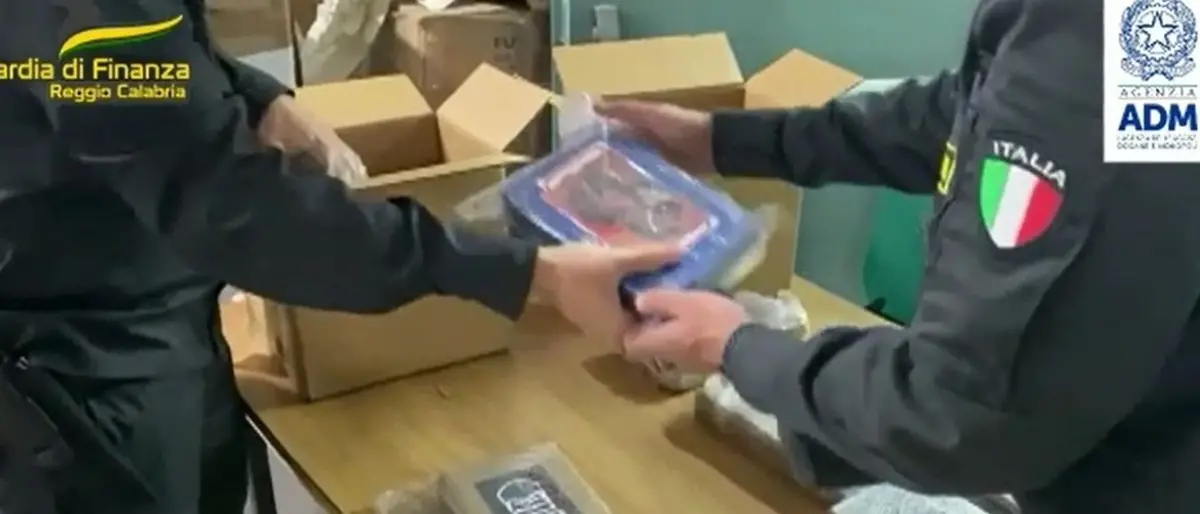 Banane e coca: ecco come sono stati scoperti i 650 chili di droga a Gioia Tauro - Video