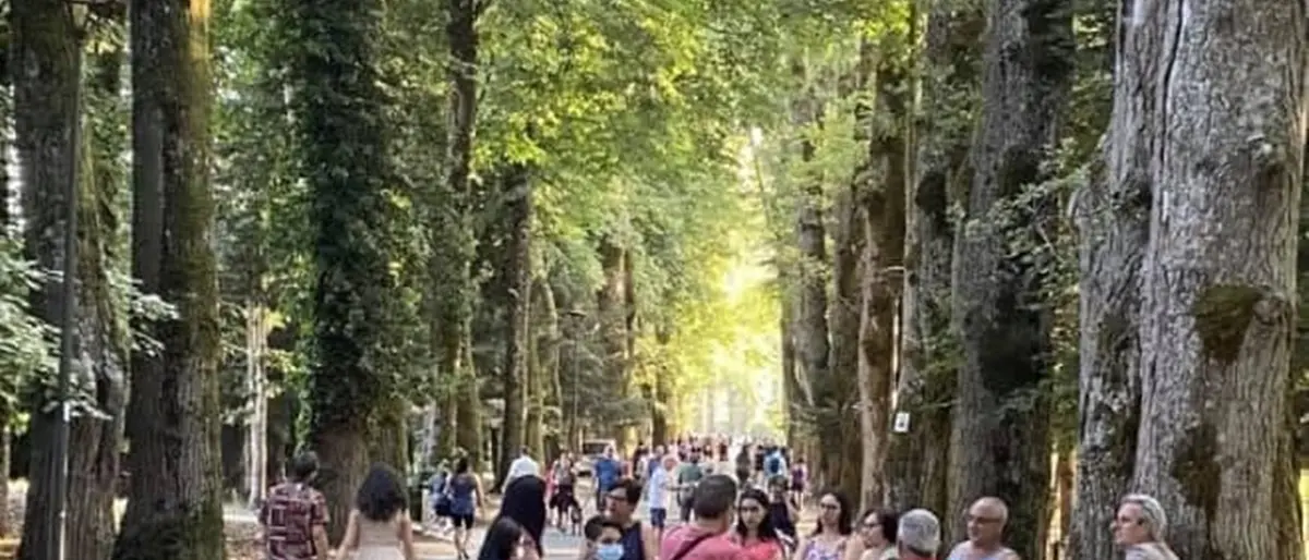 Le meraviglie dei territori di Serra e Mongiana all’interno del Sentiero Calabria