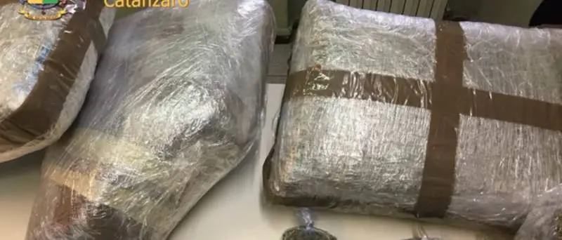 Narcotraffico internazionale dal Vibonese: “Stammer 2”, nove condanne in Cassazione