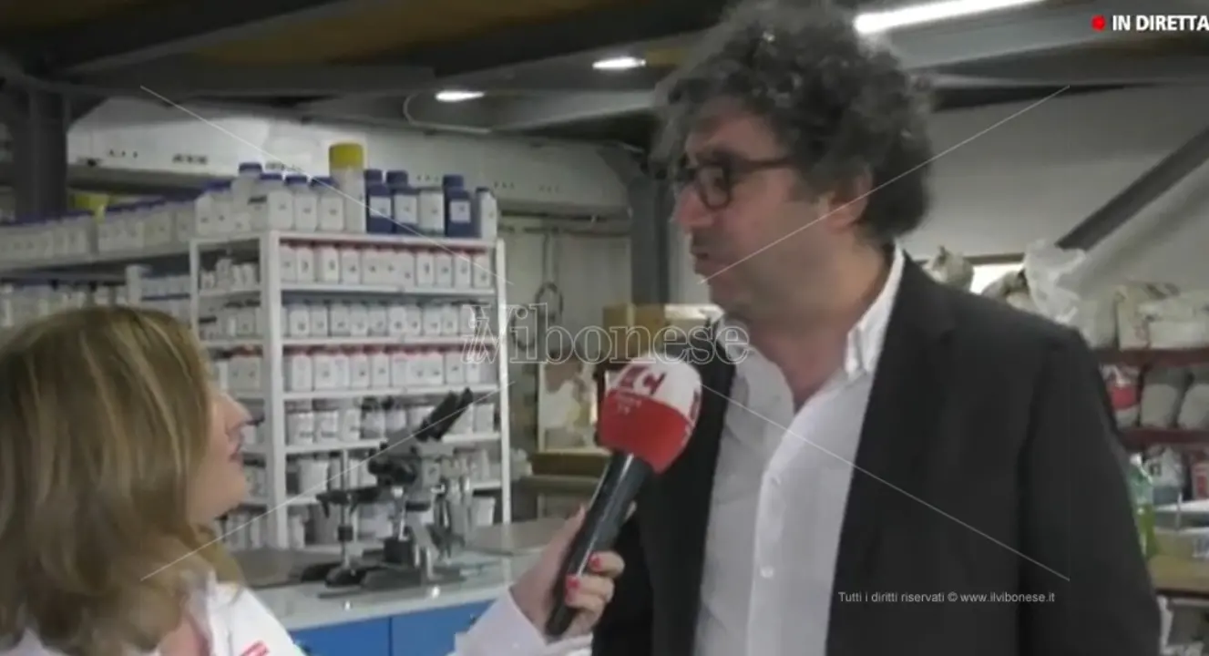 La “fabbrica tascabile”: da Simbario l'idea imprenditoriale di successo che rivoluziona l’edilizia -Video