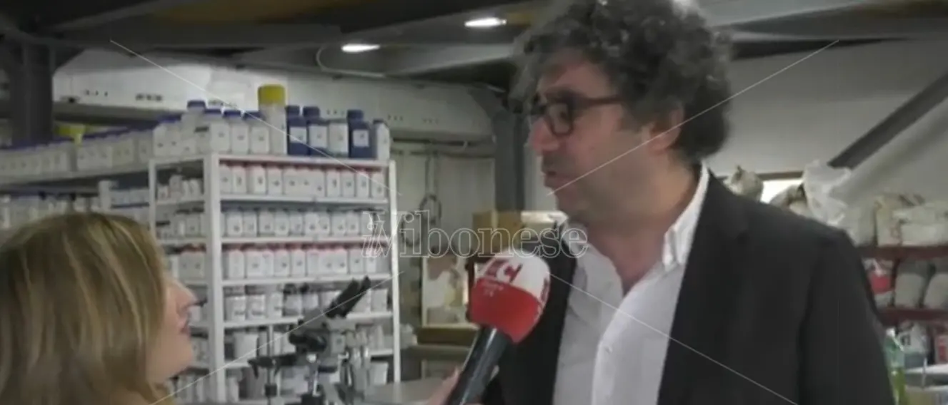 La “fabbrica tascabile”: da Simbario l'idea imprenditoriale di successo che rivoluziona l’edilizia -Video