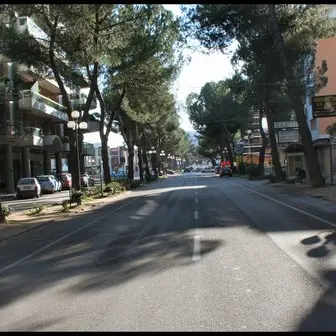 A spasso con in spalla il divano rubato da un bar, denunciato studente vibonese