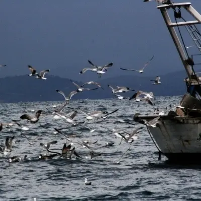 Addio a Silvia, l’ultima pescatrice di Vibo Marina (VIDEO)