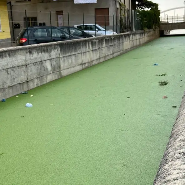 Vibo Marina, il fosso Antonucci non defluisce a mare: dal torrente un odore nauseabondo di fogna - Foto