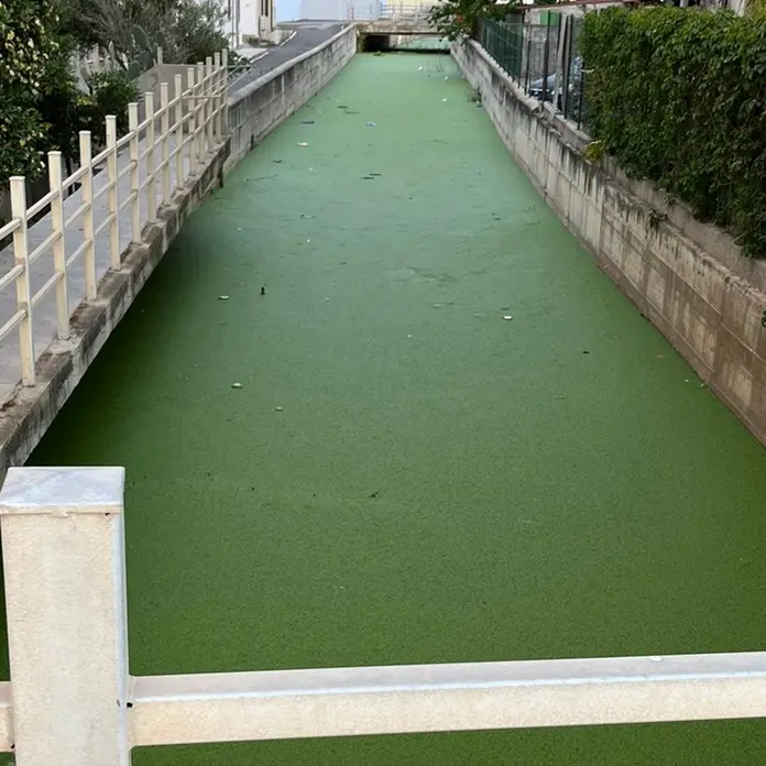 Vibo Marina, Patania (Confasila): «Dal fosso Antonucci scempio e degrado»