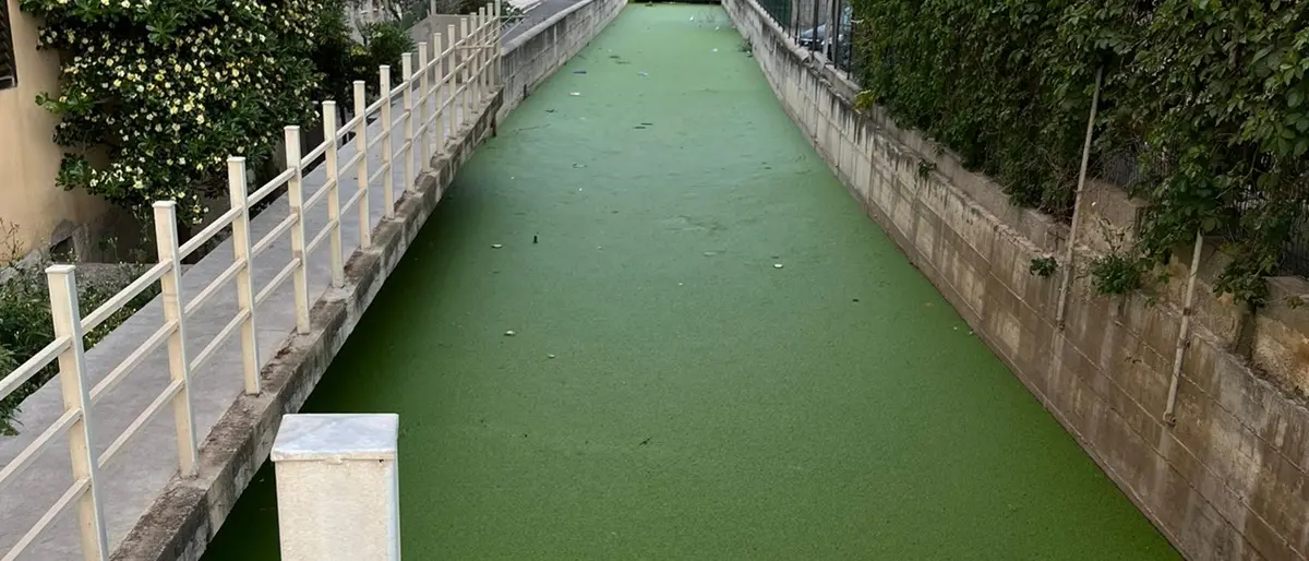 Vibo Marina, Patania (Confasila): «Dal fosso Antonucci scempio e degrado»