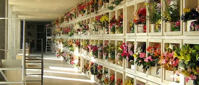 Opere cimiteriali a Vibo: il Tar annulla delibere di Giunta e Consiglio