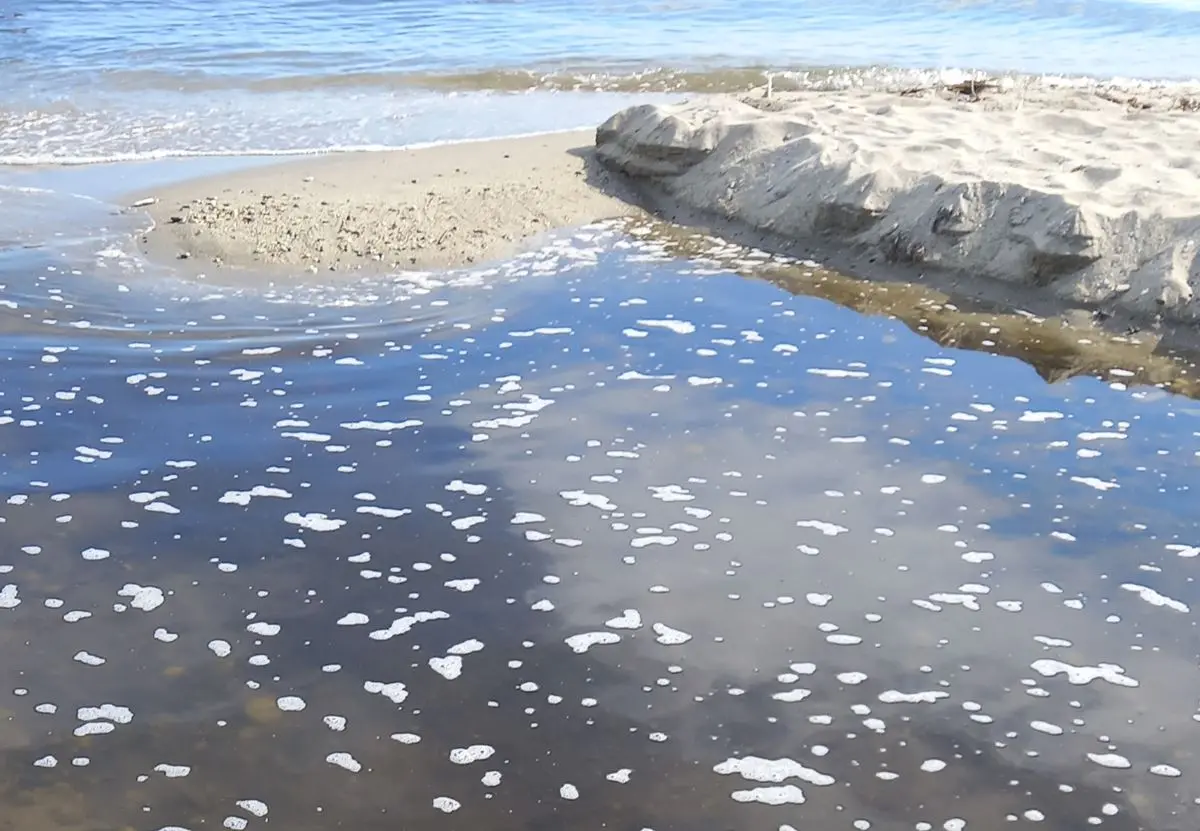 Torrente Sant’Anna di Bivona sversa ancora in mare, Patania (Confasila): «Nulla è cambiato»