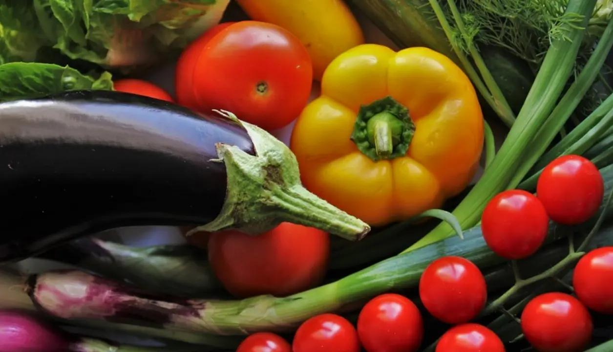Vibo, approvato e finanziato con 18 mln di euro il progetto di investimenti del Distretto del cibo