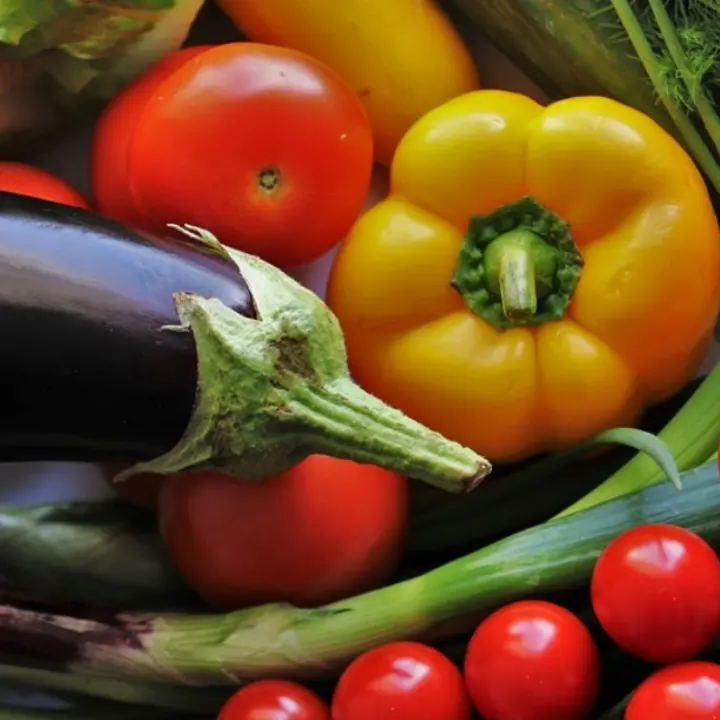 Mense biologiche, l’idea della Regione raccoglie consensi: Cessaniti dice sì