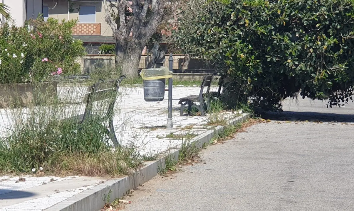Bivona tra erbacce e degrado, Patania (Confasila): «Vergogna inaudita» - Foto