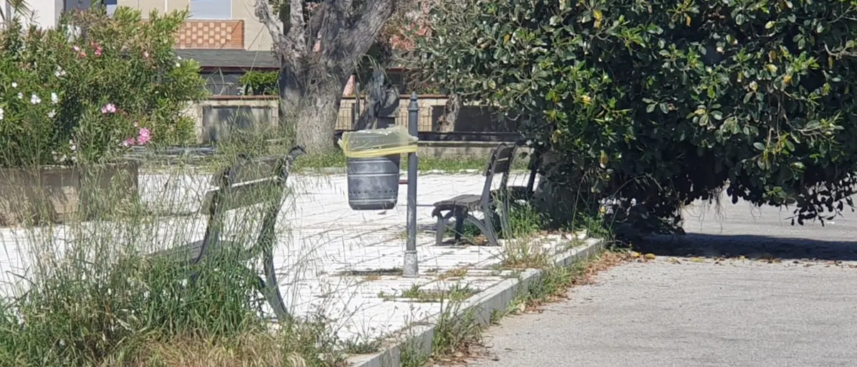 Bivona tra erbacce e degrado, Patania (Confasila): «Vergogna inaudita» - Foto