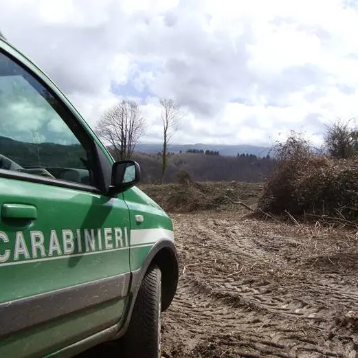 Strada con materiale scadente e rifiuti nel Vibonese: tre denunce