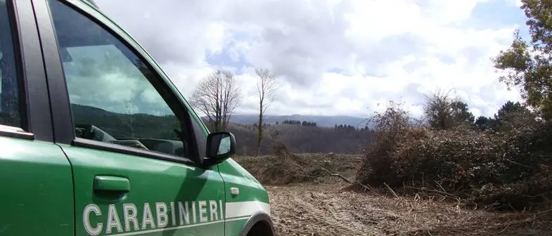 Pesca abusiva nel lago Angitola e taglio illegale di alberi a Vallelonga, 7 denunce