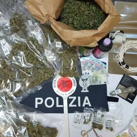 Laboratorio per la produzione di marijuana nel Vibonese: 29enne lascia il carcere