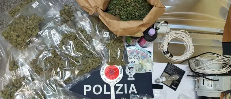 Laboratorio per la produzione di marijuana nel Vibonese: 29enne lascia il carcere