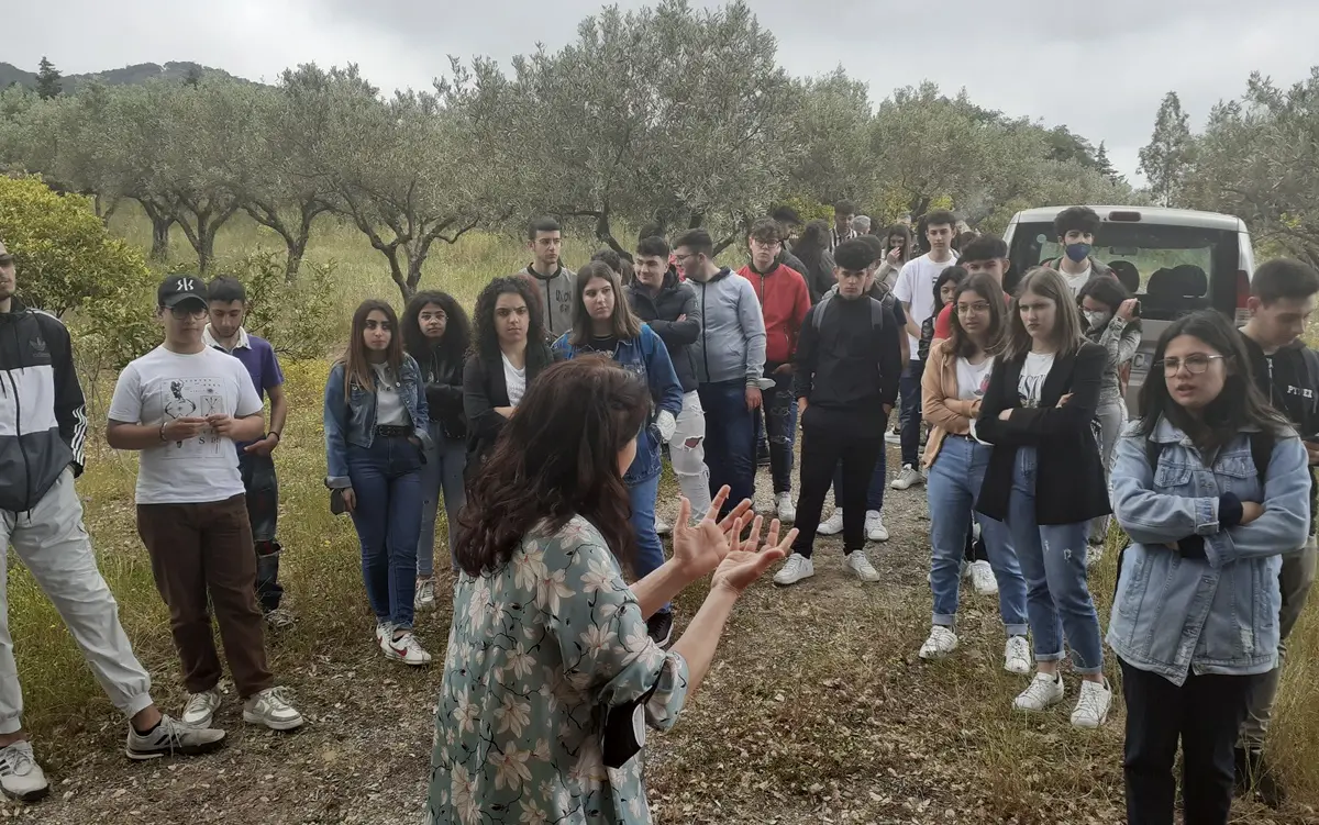 Il valore dell'olio, cento studenti vibonesi a lezione sull'oro giallo di Calabria
