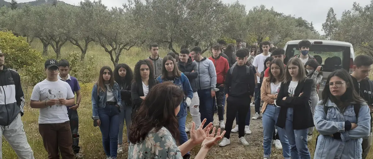 Il valore dell'olio, cento studenti vibonesi a lezione sull'oro giallo di Calabria