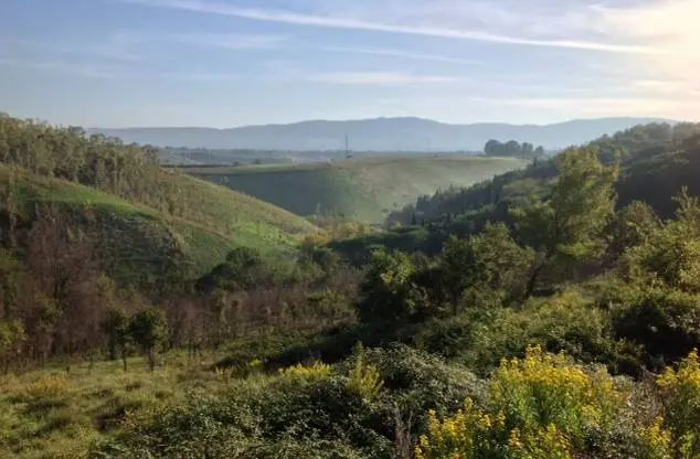 Discarica a Sant’Onofrio, la Regione avanza riserve su particelle catastali e vincoli boschivi