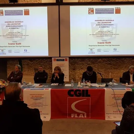 “Contrattazione, diritti e tutele”: a Mongiana assemblea dei forestali