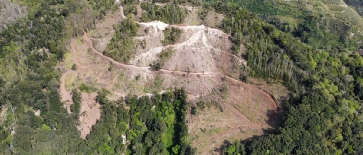 I carabinieri forestali fermano nel territorio di Drapia il taglio di un bosco in zona protetta