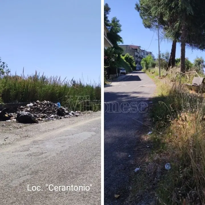 Vena Media avvolta nel degrado, Mangone (Azione): «Cittadini esasperati»