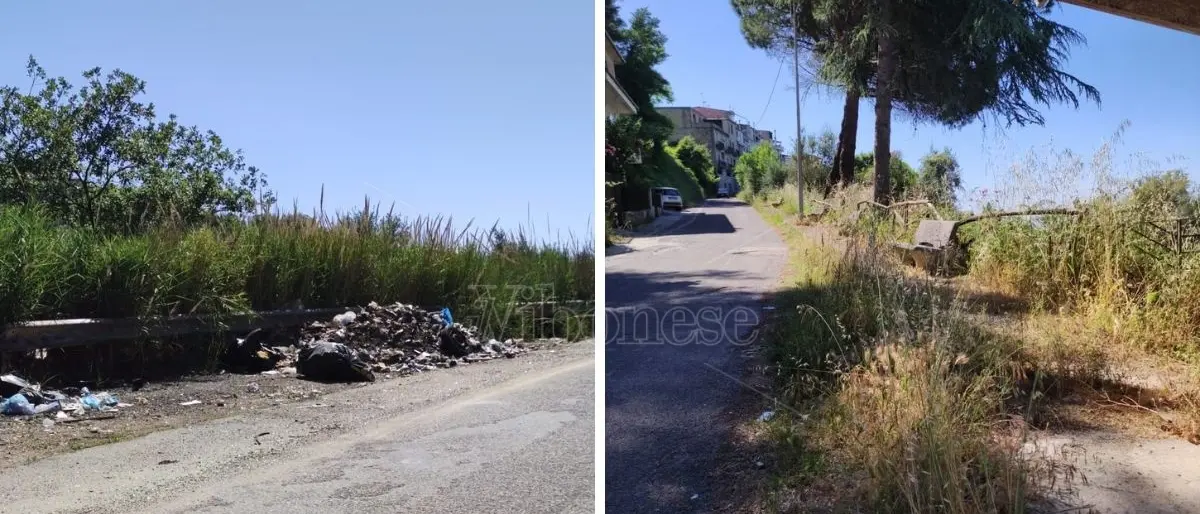 Vena Media avvolta nel degrado, Mangone (Azione): «Cittadini esasperati»