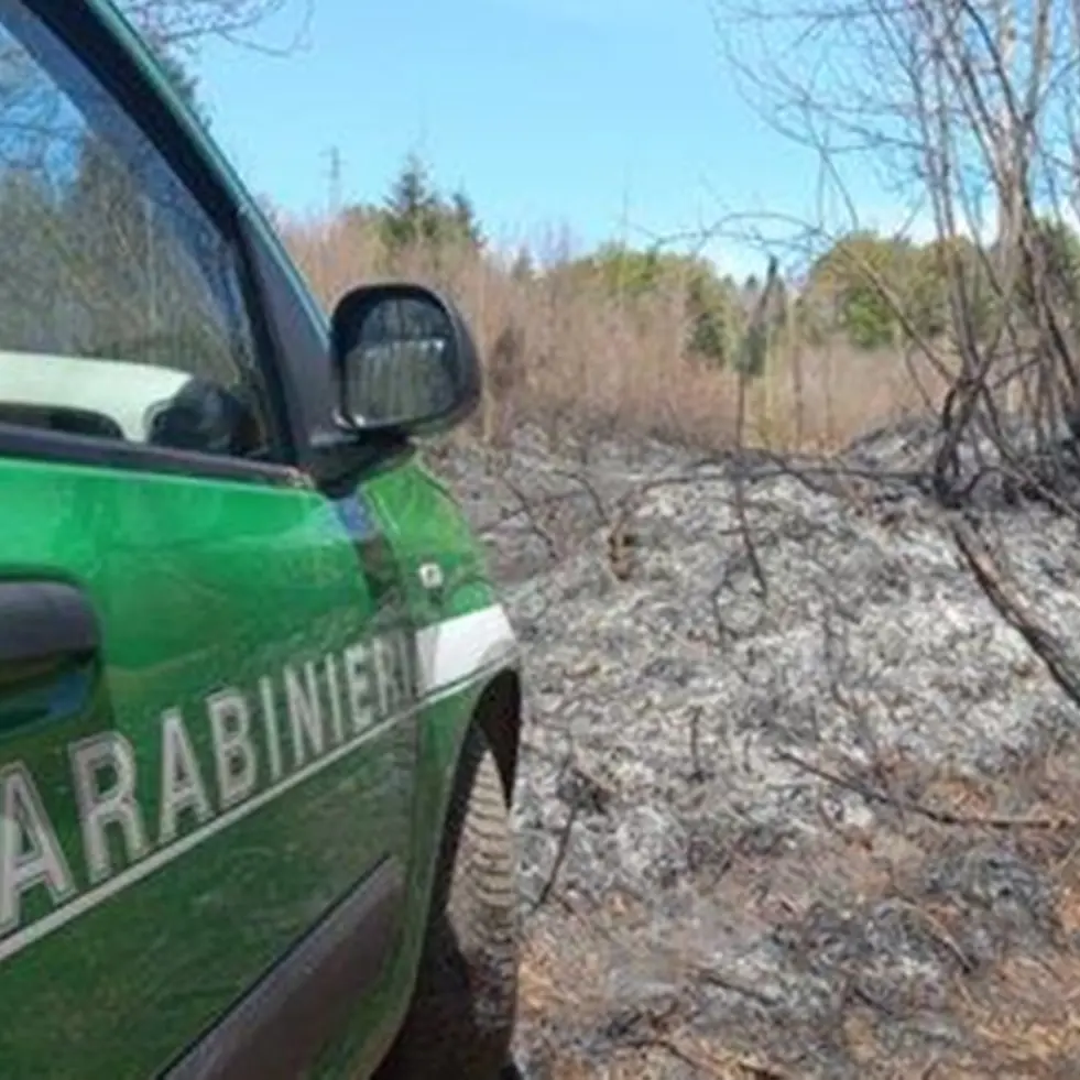 Provocano un incendio nel Vibonese: denunciate quattro persone