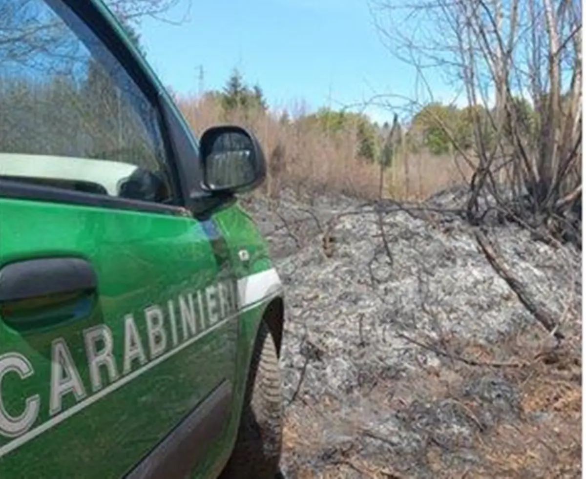 Provocano un incendio nel Vibonese: denunciate quattro persone