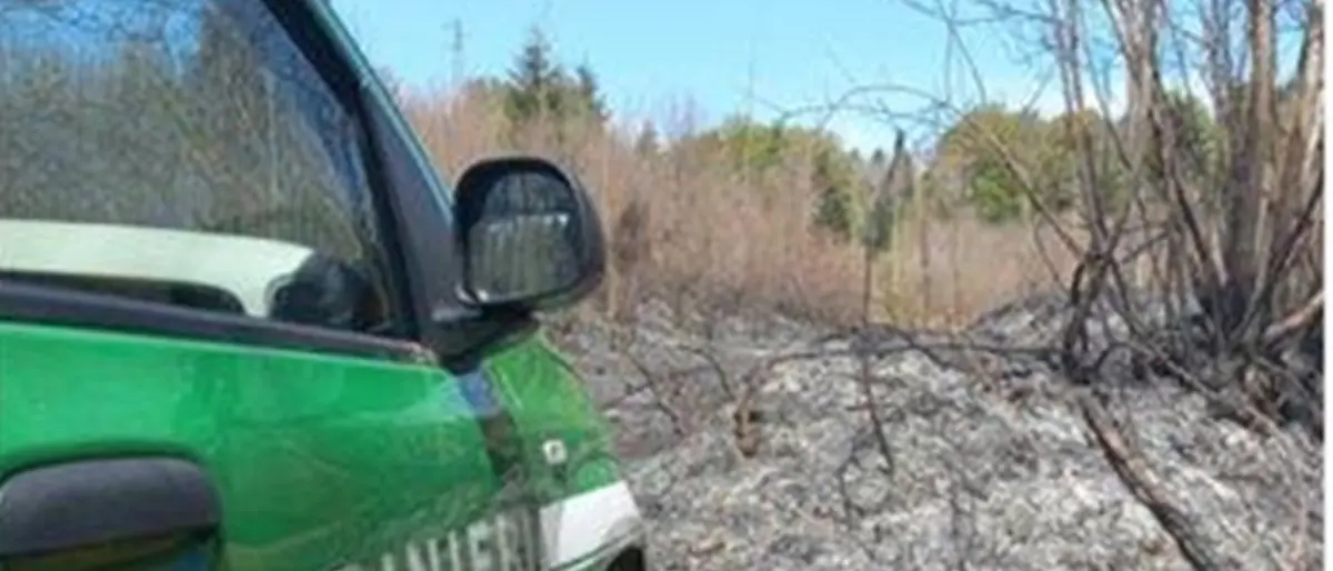 Provocano un incendio nel Vibonese: denunciate quattro persone