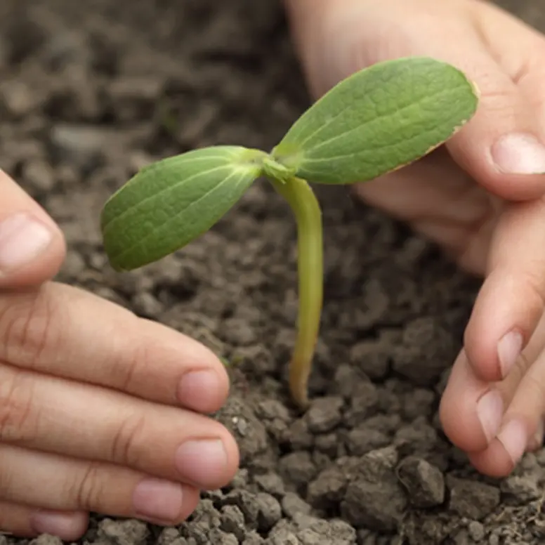 Serra, seminario internazionale su gestione e conservazione della biodiversità