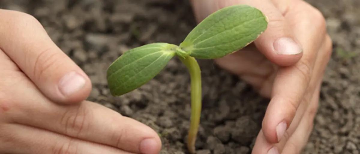 Serra, seminario internazionale su gestione e conservazione della biodiversità