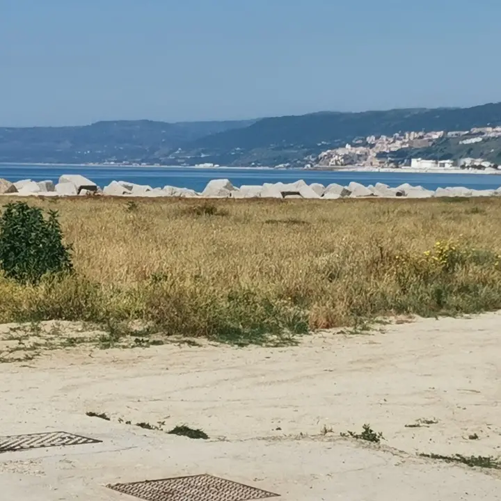 Sterpaglie sulla spiaggia di Bivona, Patania (Confasila): «A farne le spese solo cittadini e turisti»