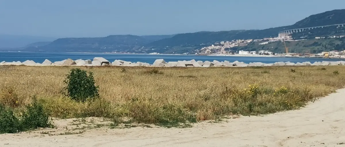 Sterpaglie sulla spiaggia di Bivona, Patania (Confasila): «A farne le spese solo cittadini e turisti»