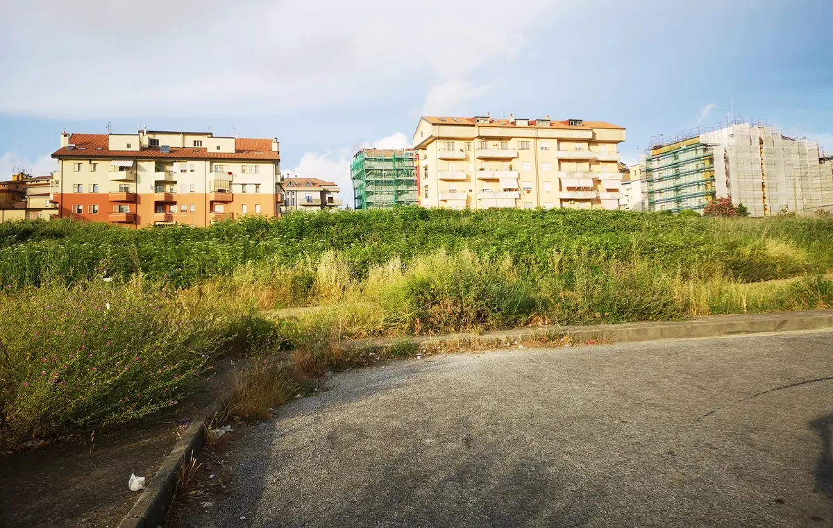 Vibo sprofonda nel degrado, l’affondo di Lo Gatto alla giunta di...“alto profilo”