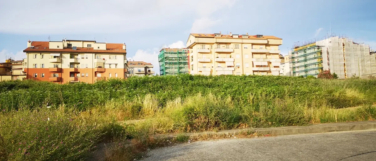 Vibo sprofonda nel degrado, l’affondo di Lo Gatto alla giunta di...“alto profilo”