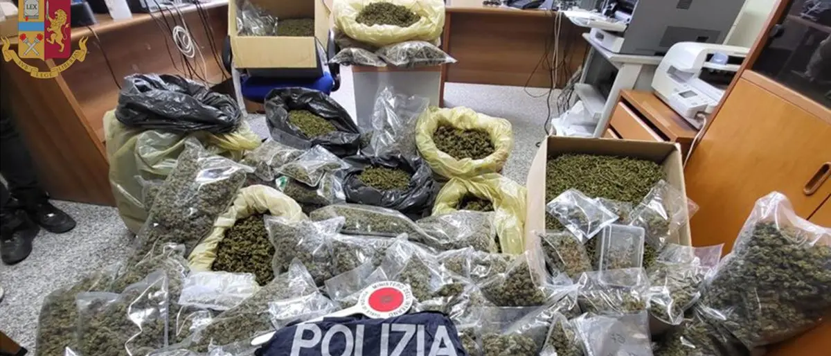 Droga: polizia ritrova 51 chili di marijuana, un arresto a Serra San Bruno