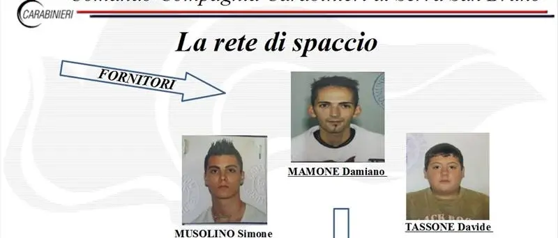 Droga nelle Serre vibonesi: ecco tutte le accuse a carico degli indagati (VIDEO)