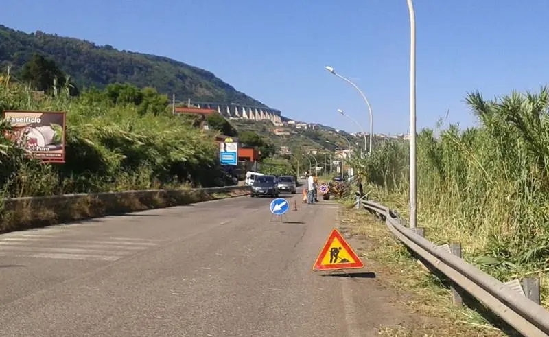 Strade invase da sterpaglie, una “giungla” che imperversa lungo la viabilità vibonese