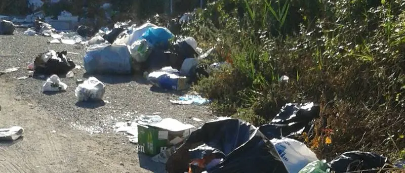 Vibo, la proposta del consigliere Lo Bianco: «Sequestro dell'auto per chi getta rifiuti in strada»