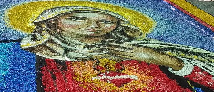 Infiorata di Potenzoni, nel Rione Chiesa le opere più apprezzate dalla giuria