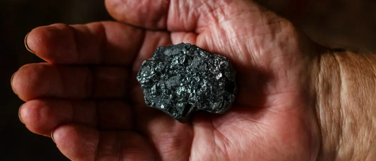 Serra San Bruno, il mondo dei “carvunari” al centro della prossima passeggiata naturalistica