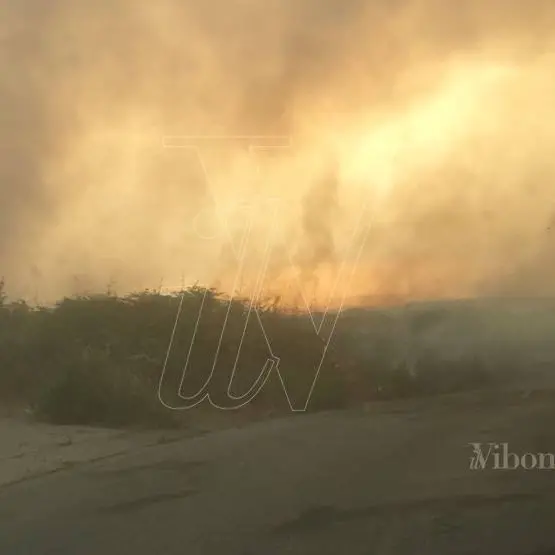 Sorpreso a dare fuoco ad arbusti e sterpaglie, un arresto nel Vibonese