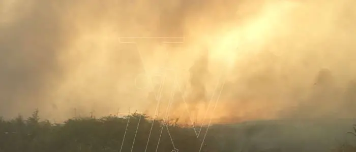 Incendi: vasto rogo a Vibo, critica la situazione a Monte Poro