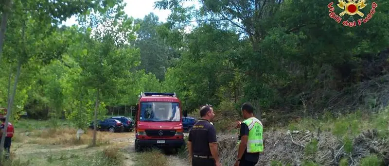 Anziano scomparso a Filogaso, il sindaco invita la cittadinanza ad unirsi alle ricerche