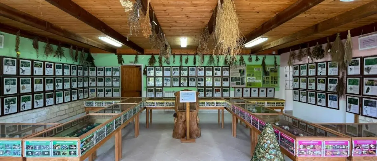 Le Giornate Fai d’Autunno premiano Serra, il sindaco: «Da noi diverse attività»