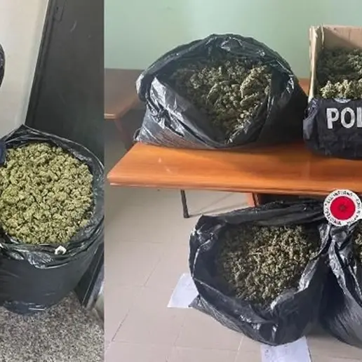 Controlli e perquisizioni nelle Serre: sequestrati quasi 70 chili di marijuana