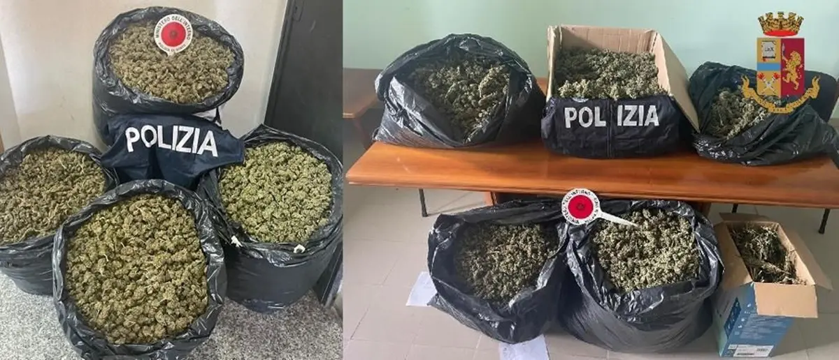 Controlli e perquisizioni nelle Serre: sequestrati quasi 70 chili di marijuana