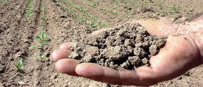 Calabria a forte rischio siccità: fiumi e laghi della regione sono oramai a secco